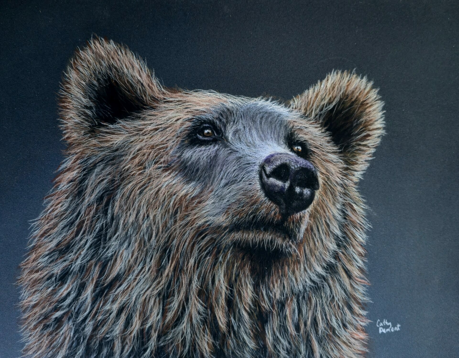 Dement_C_BearNecessities_vzYZ0