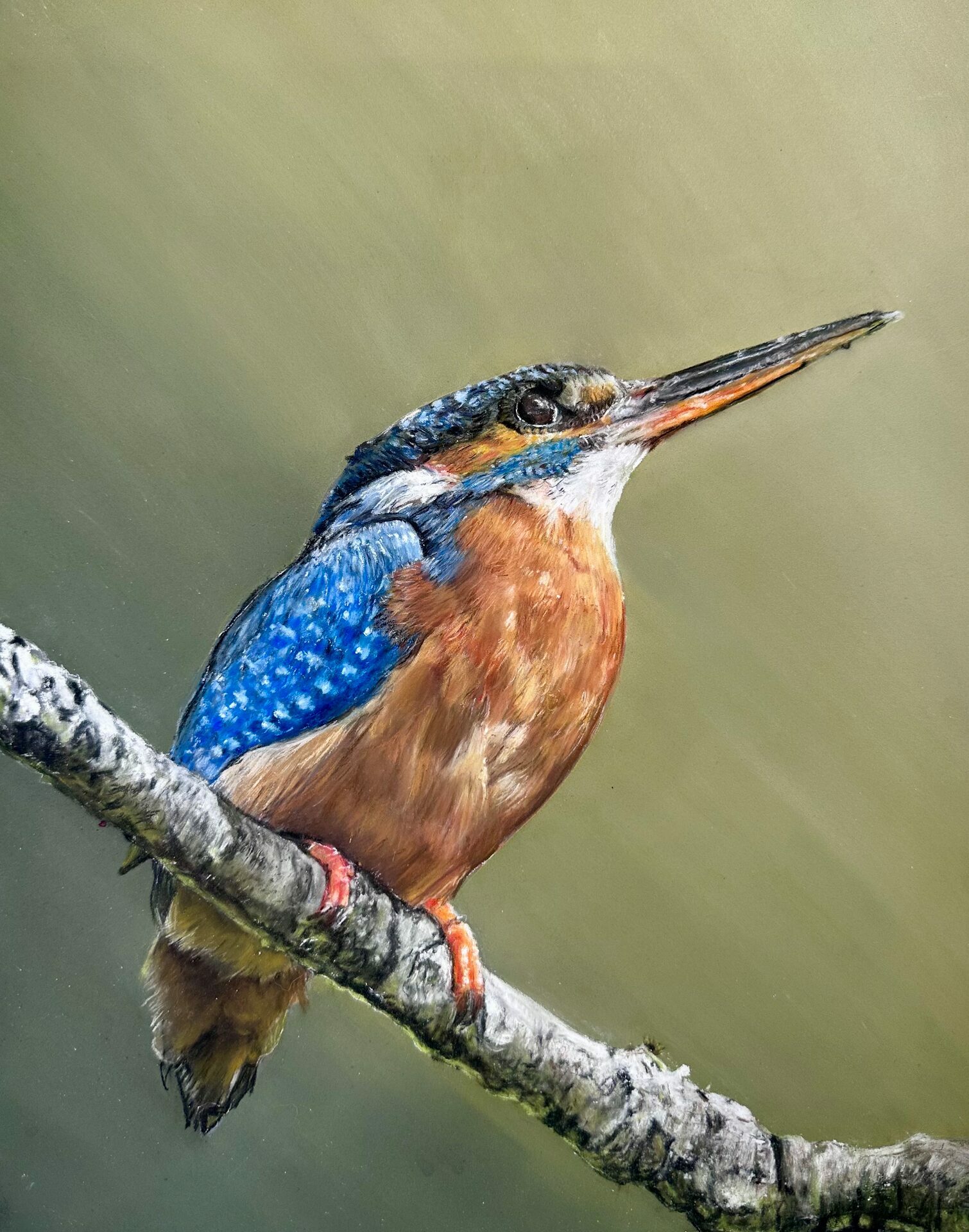 Dodde_P_SilentWatcher_Yay6G