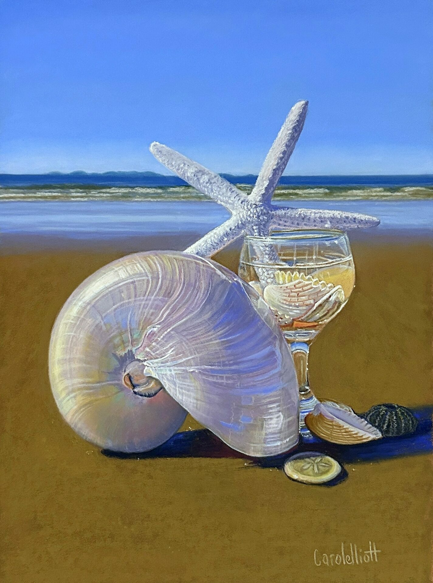 Elliott_C_ItsAShellabration_JmkL2