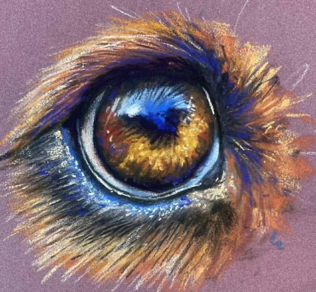 From Shapes to Soul: The Complete Animal Portrait in Pastel